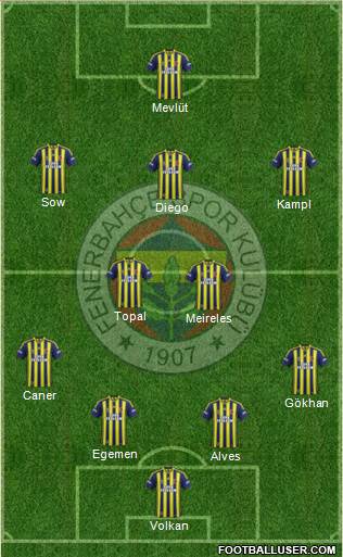 Fenerbahçe SK Formation 2014