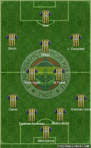 Fenerbahçe SK Formation 2014
