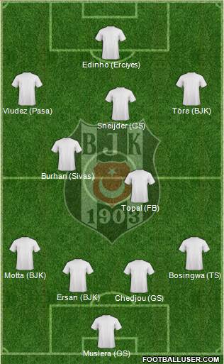 Besiktas JK Formation 2014