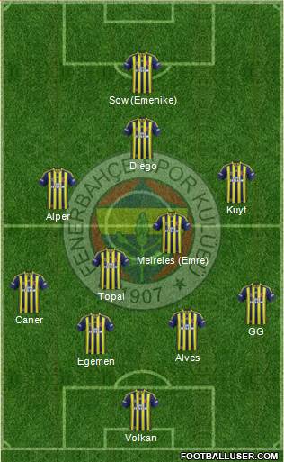 Fenerbahçe SK Formation 2014