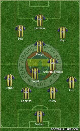 Fenerbahçe SK Formation 2014