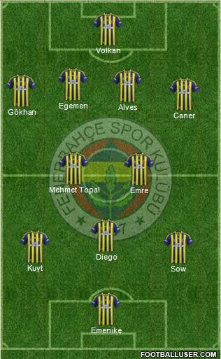 Fenerbahçe SK Formation 2014