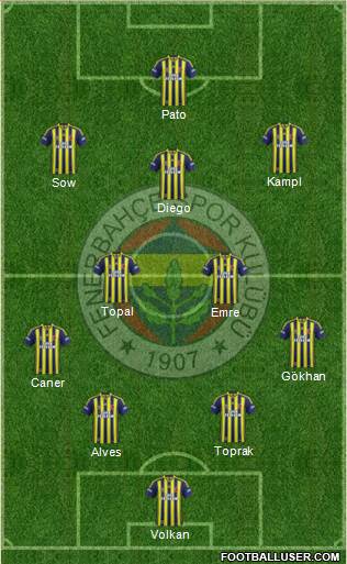 Fenerbahçe SK Formation 2014