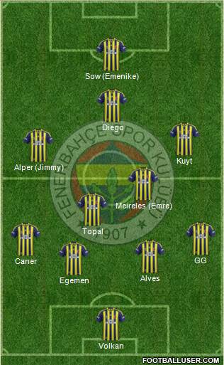 Fenerbahçe SK Formation 2014