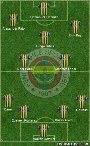 Fenerbahçe SK Formation 2014