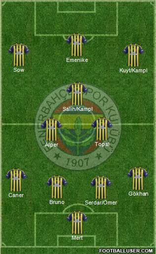 Fenerbahçe SK Formation 2014