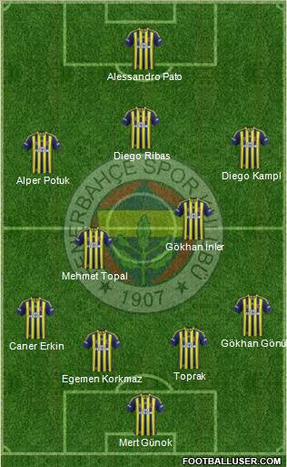 Fenerbahçe SK Formation 2014