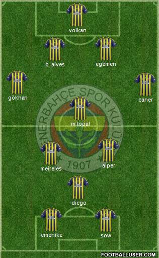 Fenerbahçe SK Formation 2014