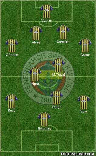 Fenerbahçe SK Formation 2014