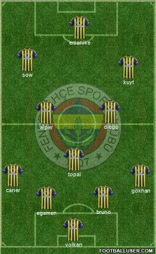 Fenerbahçe SK Formation 2014
