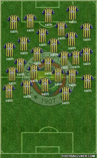 Fenerbahçe SK Formation 2014