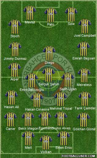 Fenerbahçe SK Formation 2014
