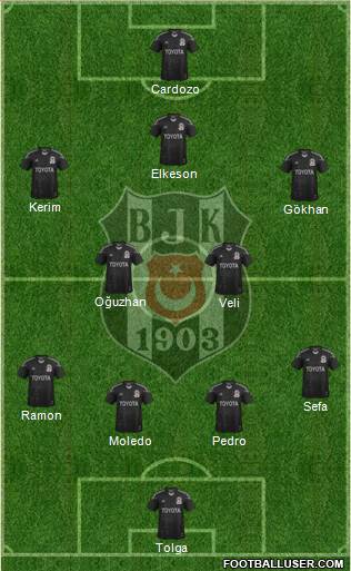 Besiktas JK Formation 2014