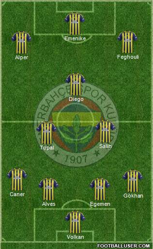 Fenerbahçe SK Formation 2014