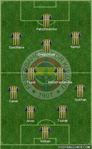 Fenerbahçe SK Formation 2014