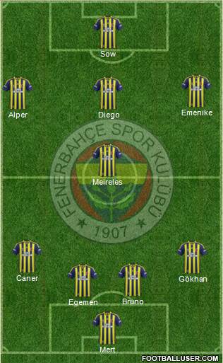 Fenerbahçe SK Formation 2014