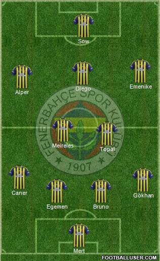 Fenerbahçe SK Formation 2014