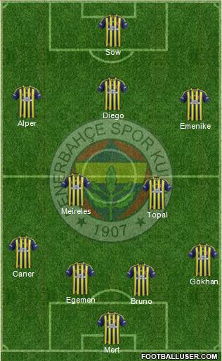 Fenerbahçe SK Formation 2014