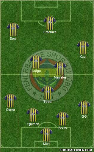 Fenerbahçe SK Formation 2014