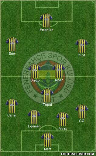 Fenerbahçe SK Formation 2014