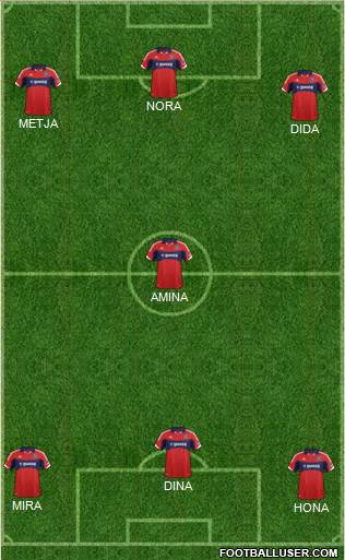 Chicago Fire Formation 2014