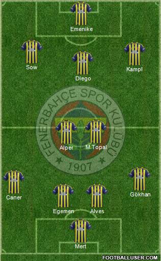 Fenerbahçe SK Formation 2014