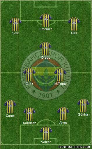 Fenerbahçe SK Formation 2014