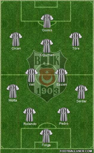 Besiktas JK Formation 2014