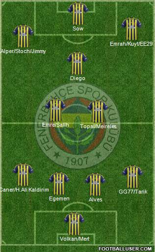 Fenerbahçe SK Formation 2014