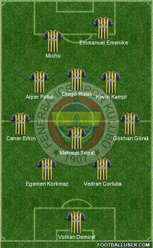 Fenerbahçe SK Formation 2014