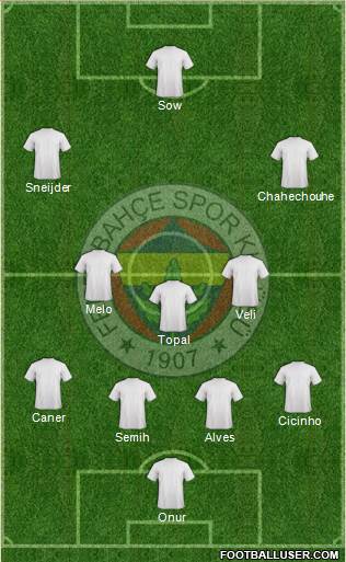 Fenerbahçe SK Formation 2014