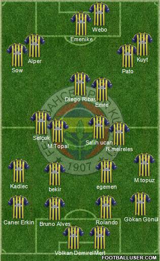 Fenerbahçe SK Formation 2014