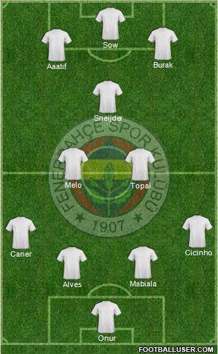Fenerbahçe SK Formation 2014