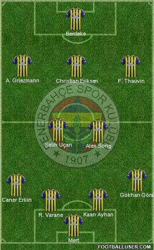 Fenerbahçe SK Formation 2014