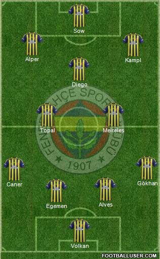 Fenerbahçe SK Formation 2014