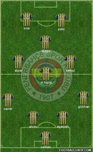 Fenerbahçe SK Formation 2014