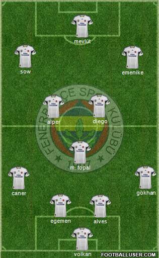 Fenerbahçe SK Formation 2014