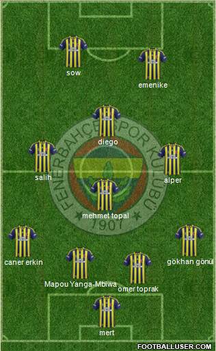 Fenerbahçe SK Formation 2014