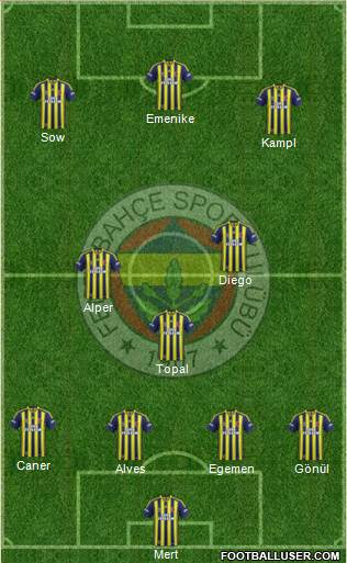 Fenerbahçe SK Formation 2014