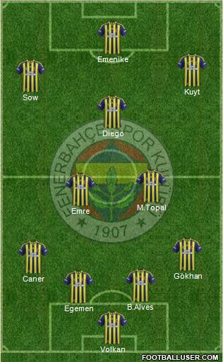 Fenerbahçe SK Formation 2014