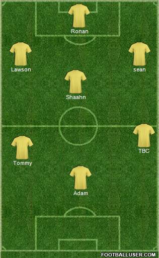 West Bromwich Albion Formation 2014