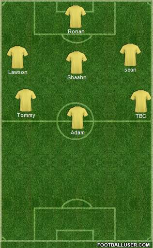 West Bromwich Albion Formation 2014