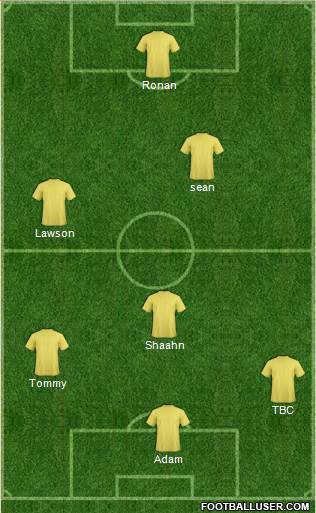West Bromwich Albion Formation 2014