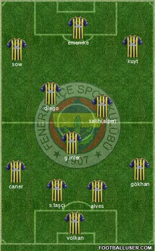 Fenerbahçe SK Formation 2014