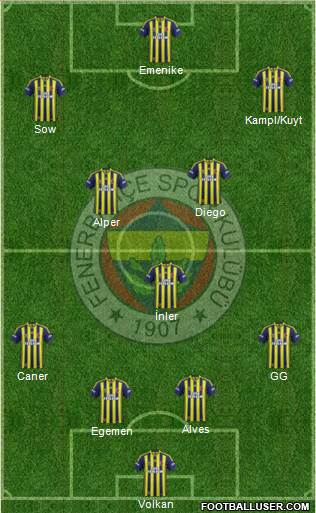 Fenerbahçe SK Formation 2014