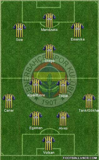 Fenerbahçe SK Formation 2014