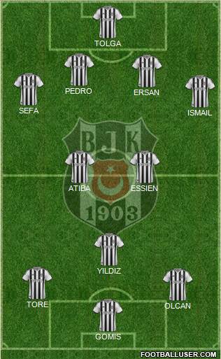 Besiktas JK Formation 2014