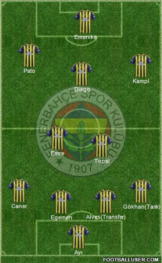 Fenerbahçe SK Formation 2014