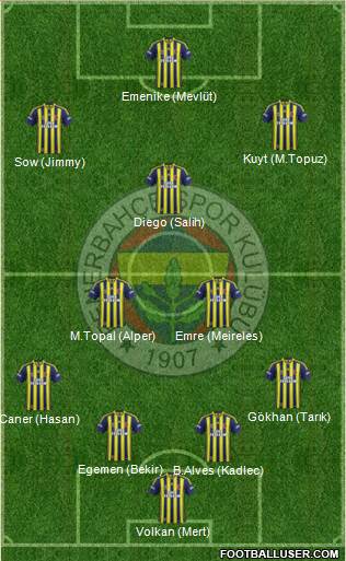 Fenerbahçe SK Formation 2014