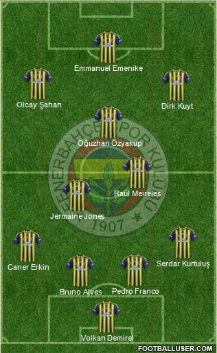 Fenerbahçe SK Formation 2014